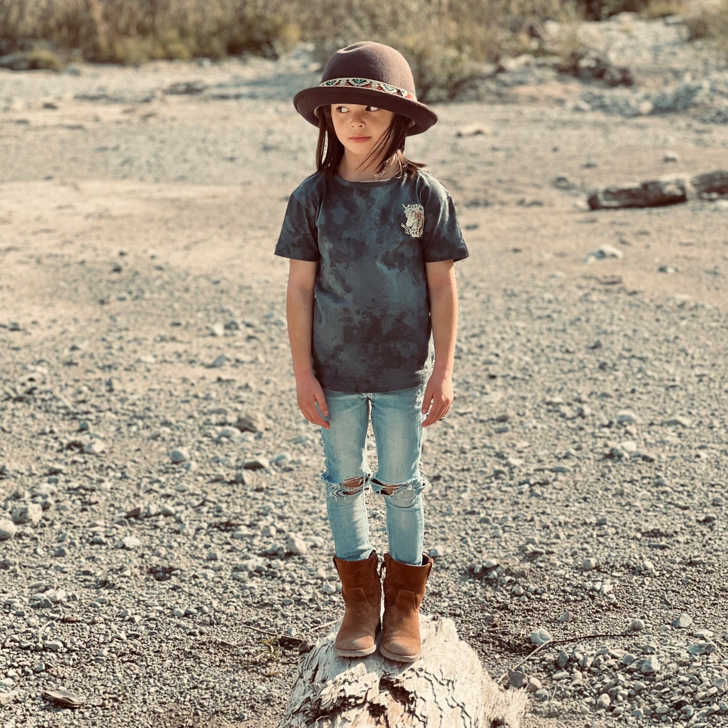 The New Shine Felt Hat Brown by FALLENBROKENSTREET