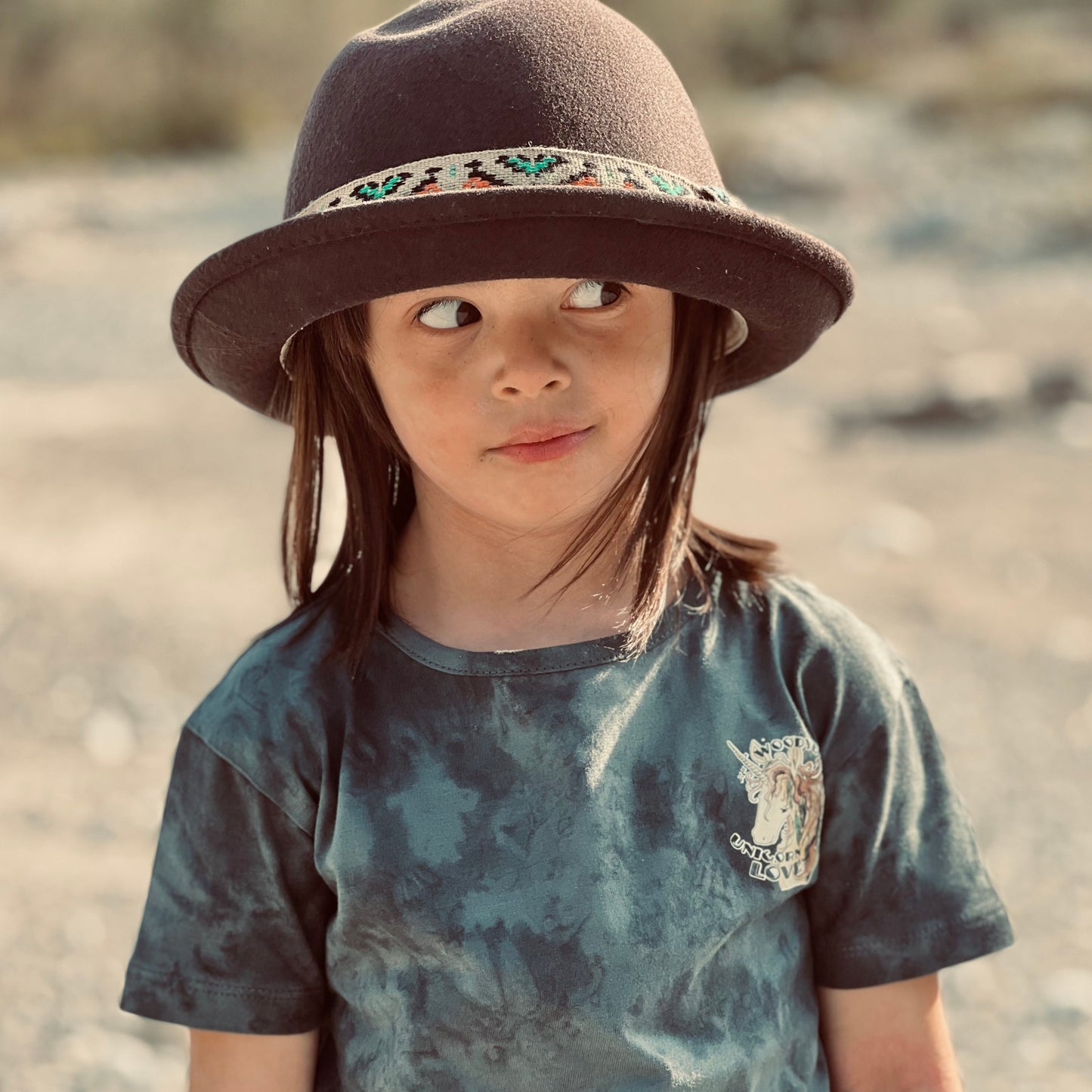 The New Shine Felt Hat Brown by FALLENBROKENSTREET