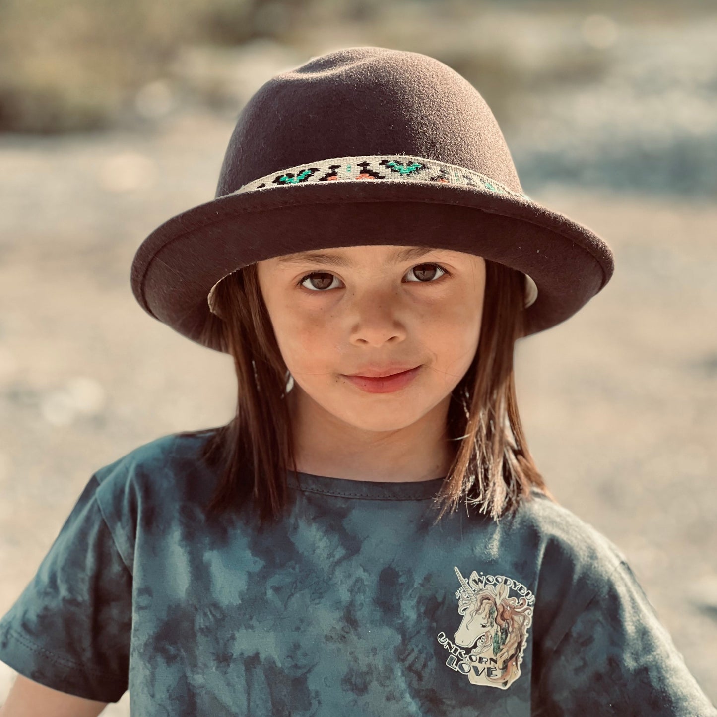 The New Shine Felt Hat Brown by FALLENBROKENSTREET
