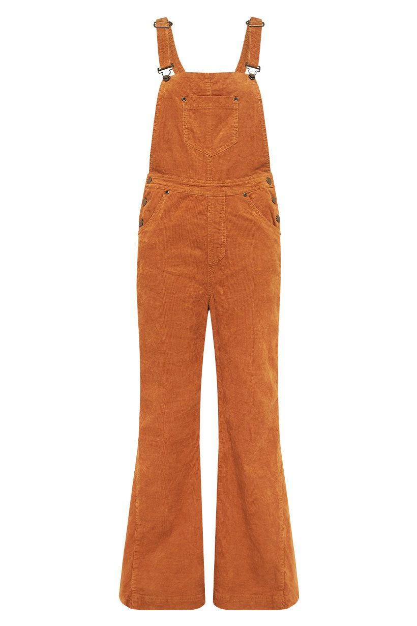 Age of Aquarius Overall